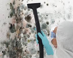 Why You Should Choose Our Mold Remediation Services in Twin Lakes, WI